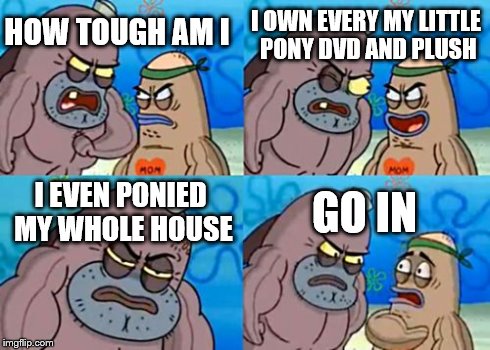 tough guys like ponies | HOW TOUGH AM I I OWN EVERY MY LITTLE PONY DVD AND PLUSH I EVEN PONIED MY WHOLE HOUSE GO IN | image tagged in memes,how tough are you,my little pony | made w/ Imgflip meme maker
