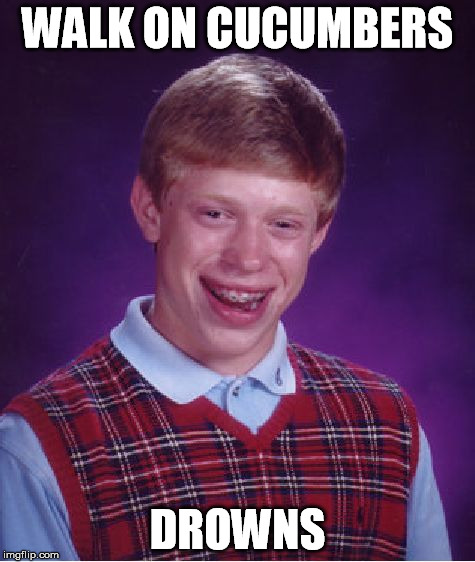 Bad Luck Brian Meme | WALK ON CUCUMBERS DROWNS | image tagged in memes,bad luck brian | made w/ Imgflip meme maker