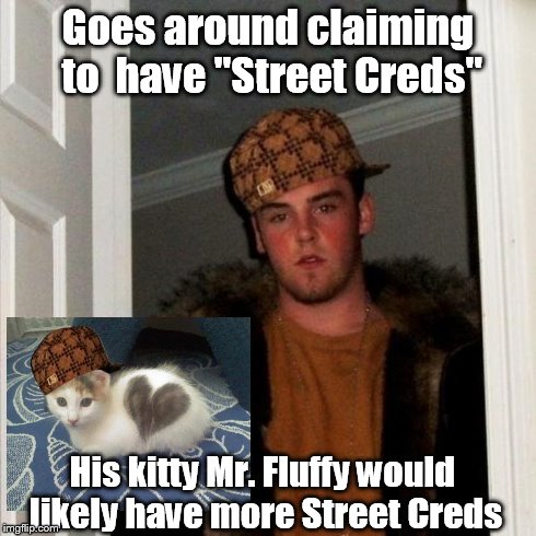 Scumbag Steve | Goes around claiming to  have "Street Creds" His kitty Mr. Fluffy would likely have more Street Creds | image tagged in memes,scumbag steve,scumbag | made w/ Imgflip meme maker