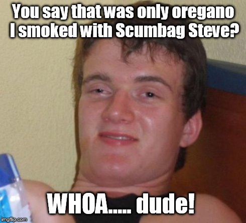 10 Guy Meme | You say that was only oregano I smoked with Scumbag Steve? WHOA..... dude! | image tagged in memes,10 guy | made w/ Imgflip meme maker