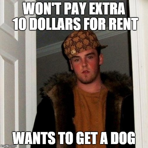 Scumbag Steve | WON'T PAY EXTRA 10 DOLLARS FOR RENT WANTS TO GET A DOG | image tagged in memes,scumbag steve | made w/ Imgflip meme maker