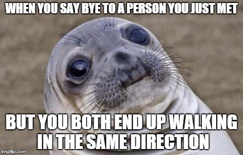 Awkward Moment Sealion | WHEN YOU SAY BYE TO A PERSON YOU JUST MET BUT YOU BOTH END UP WALKING IN THE SAME DIRECTION | image tagged in memes,awkward moment sealion | made w/ Imgflip meme maker