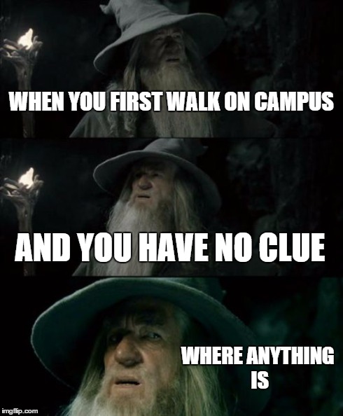 Confused Gandalf | WHEN YOU FIRST WALK ON CAMPUS AND YOU HAVE NO CLUE WHERE ANYTHING IS | image tagged in memes,confused gandalf | made w/ Imgflip meme maker