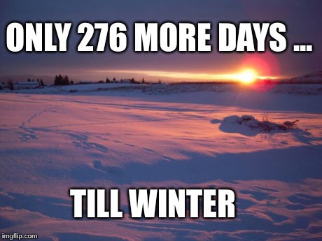 ONLY 276 MORE DAYS ... TILL WINTER | image tagged in winter | made w/ Imgflip meme maker