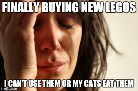 First World Problems Meme | FINALLY BUYING NEW LEGOS I CAN'T USE THEM OR MY CATS EAT THEM | image tagged in memes,first world problems | made w/ Imgflip meme maker