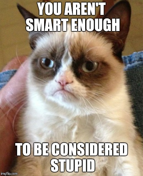 Grumpy Cat | YOU AREN'T SMART ENOUGH TO BE CONSIDERED STUPID | image tagged in memes,grumpy cat | made w/ Imgflip meme maker