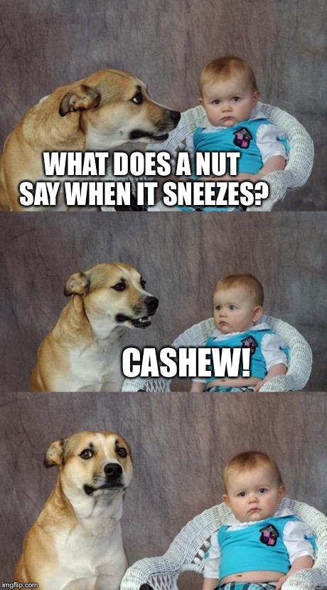 Idk | WHAT DOES A NUT SAY WHEN IT SNEEZES? CASHEW! | image tagged in memes,dad joke dog | made w/ Imgflip meme maker