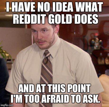 Afraid To Ask Andy | I HAVE NO IDEA WHAT REDDIT GOLD DOES AND AT THIS POINT I'M TOO AFRAID TO ASK. | image tagged in memes,afraid to ask andy,AdviceAnimals | made w/ Imgflip meme maker