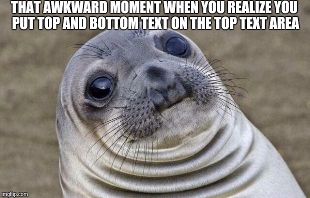 Awkward Moment Sealion Meme | THAT AWKWARD MOMENT WHEN YOU REALIZE YOU PUT TOP AND BOTTOM TEXT ON THE TOP TEXT AREA | image tagged in memes,awkward moment sealion | made w/ Imgflip meme maker