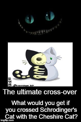 Thought Experiment | The ultimate cross-over What would you get if you crossed Schrodinger's Cat with the Cheshire Cat? | image tagged in cats,funny,demotivationals,cheshire cat,schrodingers cat,crossover | made w/ Imgflip meme maker