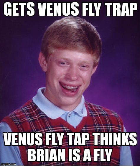 Bad Luck Brian | GETS VENUS FLY TRAP VENUS FLY TAP THINKS BRIAN IS A FLY | image tagged in memes,bad luck brian | made w/ Imgflip meme maker