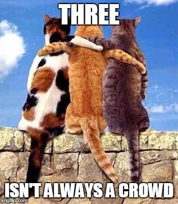 Three is not always a crowd - friendship meme | THREE ISN'T ALWAYS A CROWD | image tagged in friendhsips threes a crowd cute cats kittens friends | made w/ Imgflip meme maker
