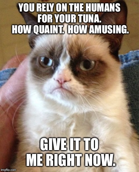 Grumpy Cat Meme | YOU RELY ON THE HUMANS FOR YOUR TUNA.  HOW QUAINT.  HOW AMUSING. GIVE IT TO ME RIGHT NOW. | image tagged in memes,grumpy cat | made w/ Imgflip meme maker