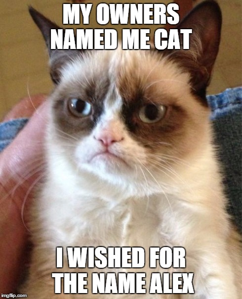 Grumpy Cat | MY OWNERS NAMED ME CAT I WISHED FOR THE NAME ALEX | image tagged in memes,grumpy cat | made w/ Imgflip meme maker