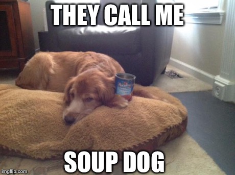 THEY CALL ME SOUP DOG | image tagged in soup dog | made w/ Imgflip meme maker