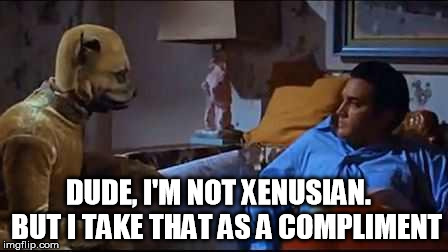 livealittlelovealittle | DUDE, I'M NOT XENUSIAN.
  BUT I TAKE THAT AS A COMPLIMENT | image tagged in livealittlelovealittle | made w/ Imgflip meme maker