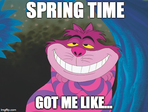 Spring Time Got Me Like... | SPRING TIME GOT ME LIKE... | image tagged in spring,springtime,got me like,2015 | made w/ Imgflip meme maker