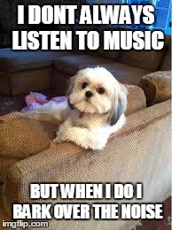 the most interesting dog in the world | I DONT ALWAYS LISTEN TO MUSIC BUT WHEN I DO I BARK OVER THE NOISE | image tagged in the most interesting dog in the world | made w/ Imgflip meme maker