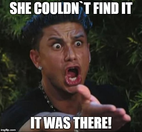 DJ Pauly D Meme | SHE COULDN`T FIND IT IT WAS THERE! | image tagged in memes,dj pauly d | made w/ Imgflip meme maker