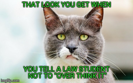 Overthinking  | THAT LOOK YOU GET WHEN YOU TELL A LAW STUDENT NOT TO "OVER THINK IT" | image tagged in law,cat,memes,huh,funny,student | made w/ Imgflip meme maker