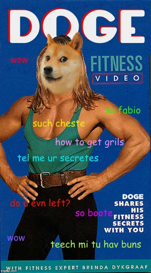 Doge Fitness | S | image tagged in doge,fabio,fitness,doge fitness,funny,memes | made w/ Imgflip meme maker