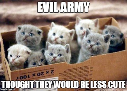 box of cats | EVIL ARMY THOUGHT THEY WOULD BE LESS CUTE | image tagged in box of cats | made w/ Imgflip meme maker