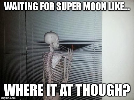 Waiting Skeleton | WAITING FOR SUPER MOON LIKE... WHERE IT AT THOUGH? | image tagged in waiting skeleton | made w/ Imgflip meme maker