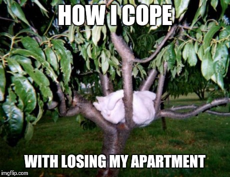 FUCK YO COUCH | HOW I COPE WITH LOSING MY APARTMENT | image tagged in fuck yo couch | made w/ Imgflip meme maker