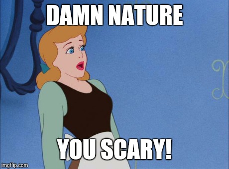 OH LAWDY | DAMN NATURE YOU SCARY! | image tagged in oh lawdy | made w/ Imgflip meme maker