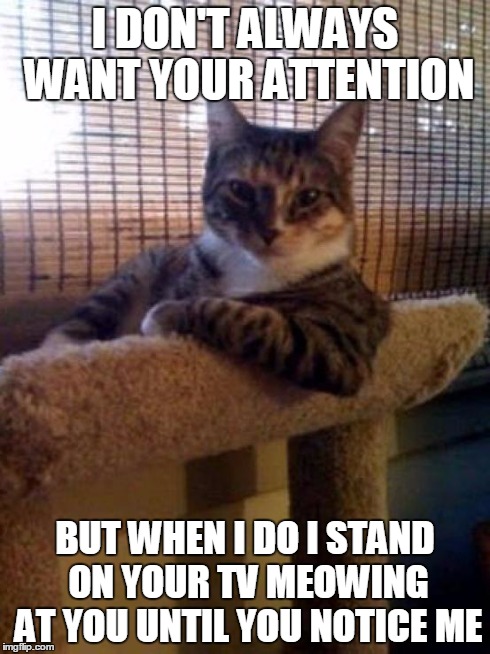 The Most Interesting Cat In The World | I DON'T ALWAYS WANT YOUR ATTENTION BUT WHEN I DO I STAND ON YOUR TV MEOWING AT YOU UNTIL YOU NOTICE ME | image tagged in memes,the most interesting cat in the world | made w/ Imgflip meme maker