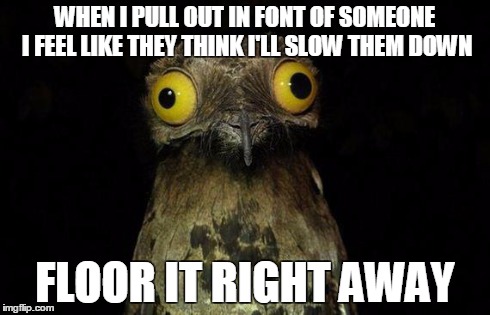 Weird Stuff I Do Potoo Meme | WHEN I PULL OUT IN FONT OF SOMEONE I FEEL LIKE THEY THINK I'LL SLOW THEM DOWN FLOOR IT RIGHT AWAY | image tagged in memes,weird stuff i do potoo,AdviceAnimals | made w/ Imgflip meme maker