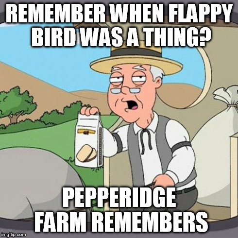 Pepperidge Farm Remembers | REMEMBER WHEN FLAPPY BIRD WAS A THING? PEPPERIDGE FARM REMEMBERS | image tagged in memes,pepperidge farm remembers | made w/ Imgflip meme maker
