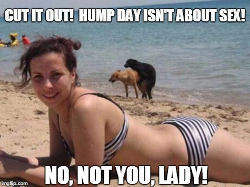 Day sexual pictures hump Stoner Girls