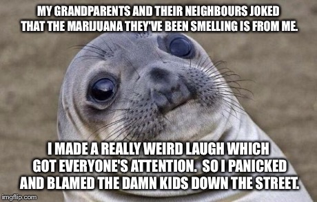 Awkward Moment Sealion | MY GRANDPARENTS AND THEIR NEIGHBOURS JOKED THAT THE MARIJUANA THEY'VE BEEN SMELLING IS FROM ME. I MADE A REALLY WEIRD LAUGH WHICH GOT EVERYO | image tagged in memes,awkward moment sealion | made w/ Imgflip meme maker