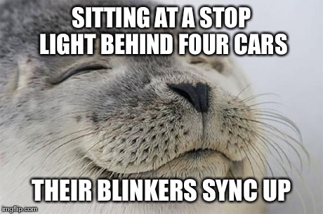 Satisfied Seal | SITTING AT A STOP LIGHT BEHIND FOUR CARS THEIR BLINKERS SYNC UP | image tagged in memes,satisfied seal | made w/ Imgflip meme maker