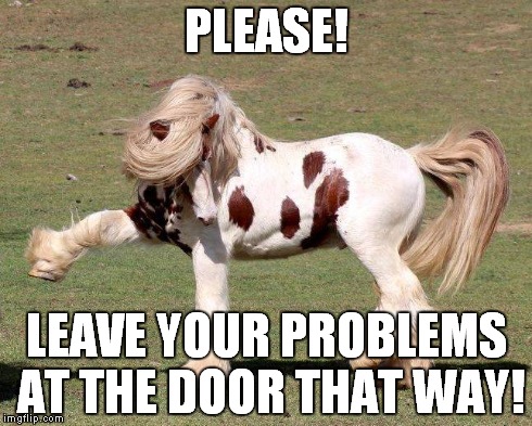 Horse | PLEASE! LEAVE YOUR PROBLEMS AT THE DOOR THAT WAY! | image tagged in memes,funny memes | made w/ Imgflip meme maker