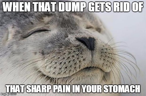 Satisfied Seal | WHEN THAT DUMP GETS RID OF THAT SHARP PAIN IN YOUR STOMACH | image tagged in memes,satisfied seal,AdviceAnimals | made w/ Imgflip meme maker