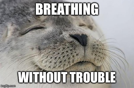 Satisfied Seal | BREATHING WITHOUT TROUBLE | image tagged in memes,satisfied seal | made w/ Imgflip meme maker