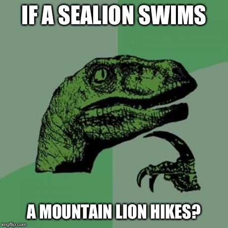 Philosoraptor | IF A SEALION SWIMS A MOUNTAIN LION HIKES? | image tagged in memes,philosoraptor | made w/ Imgflip meme maker