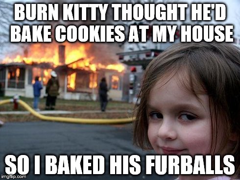 Disaster Girl Meme | BURN KITTY THOUGHT HE'D BAKE COOKIES AT MY HOUSE SO I BAKED HIS FURBALLS | image tagged in memes,disaster girl | made w/ Imgflip meme maker