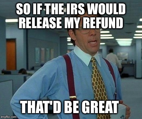 That Would Be Great | SO IF THE IRS WOULD RELEASE MY REFUND THAT'D BE GREAT | image tagged in memes,that would be great | made w/ Imgflip meme maker