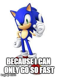 BECAUSE I CAN ONLY GO SO FAST | image tagged in sonic | made w/ Imgflip meme maker