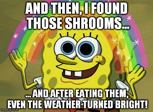 Imagination Spongebob | AND THEN, I FOUND THOSE SHROOMS... ... AND AFTER EATING THEM, EVEN THE WEATHER TURNED BRIGHT! | image tagged in memes,imagination spongebob | made w/ Imgflip meme maker