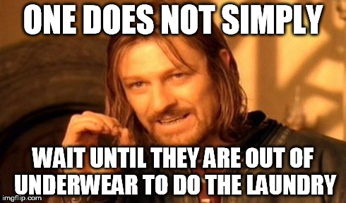 One Does Not Simply Meme | ONE DOES NOT SIMPLY WAIT UNTIL THEY ARE OUT OF UNDERWEAR TO DO THE LAUNDRY | image tagged in memes,one does not simply | made w/ Imgflip meme maker