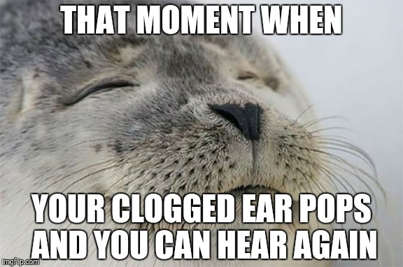 Satisfied Seal Meme | THAT MOMENT WHEN YOUR CLOGGED EAR POPS AND YOU CAN HEAR AGAIN | image tagged in memes,satisfied seal,AdviceAnimals | made w/ Imgflip meme maker