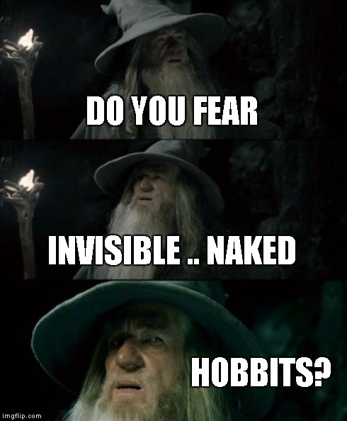 Confused Gandalf | DO YOU FEAR INVISIBLE .. NAKED HOBBITS? | image tagged in memes,confused gandalf | made w/ Imgflip meme maker