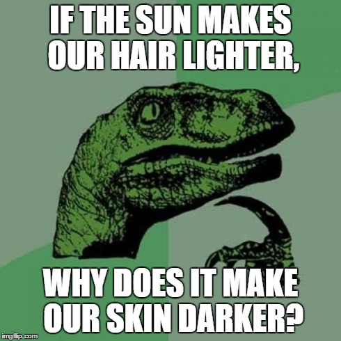 Philosoraptor | IF THE SUN MAKES OUR HAIR LIGHTER, WHY DOES IT MAKE OUR SKIN DARKER? | image tagged in memes,philosoraptor | made w/ Imgflip meme maker