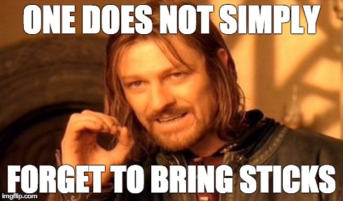 One Does Not Simply Meme | ONE DOES NOT SIMPLY FORGET TO BRING STICKS | image tagged in memes,one does not simply | made w/ Imgflip meme maker
