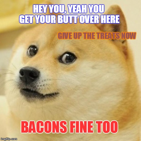 Doge | HEY YOU, YEAH YOU GET YOUR BUTT OVER HERE GIVE UP THE TREATS NOW BACONS FINE TOO | image tagged in memes,doge | made w/ Imgflip meme maker