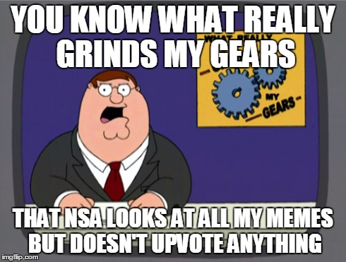 Peter Griffin News | YOU KNOW WHAT REALLY GRINDS MY GEARS THAT NSA LOOKS AT ALL MY MEMES BUT DOESN'T UPVOTE ANYTHING | image tagged in memes,peter griffin news,nsa | made w/ Imgflip meme maker